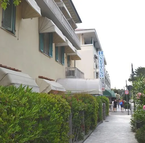 Hotel Nettuno Marina di Pietrasanta